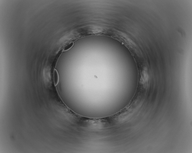X0000113930524200909251222