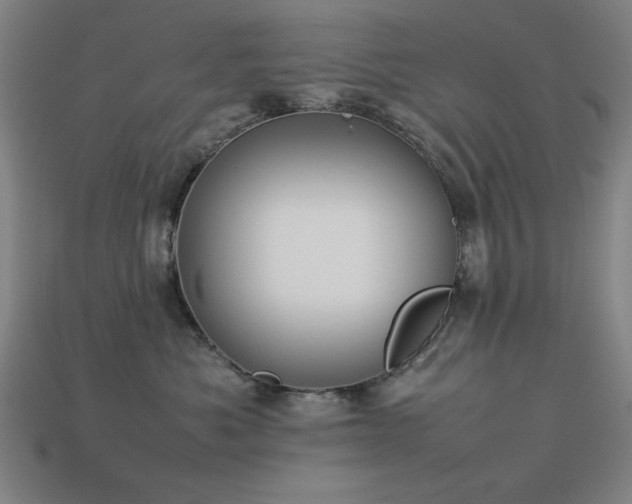 X0000113930525200909251222