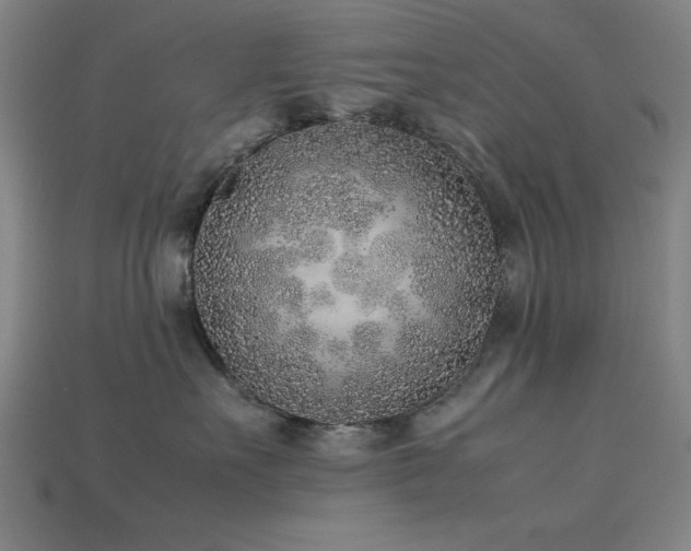 X0000113930527200909251222