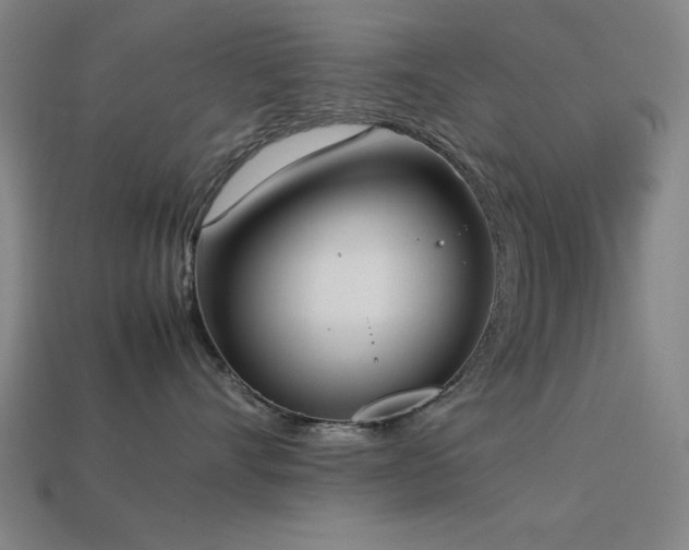 X0000113930528200909251222