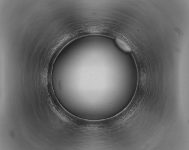 X0000113930530200909251221