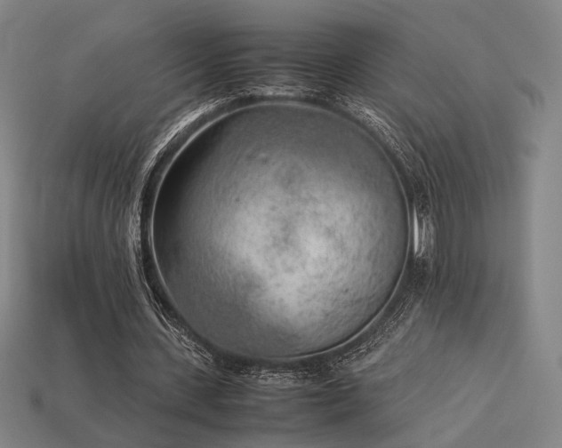 X0000113930531200909251221