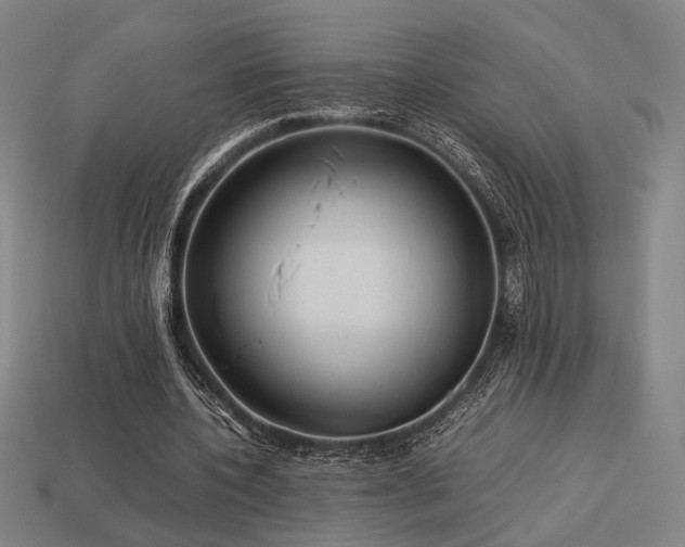 X0000113930532200909251221
