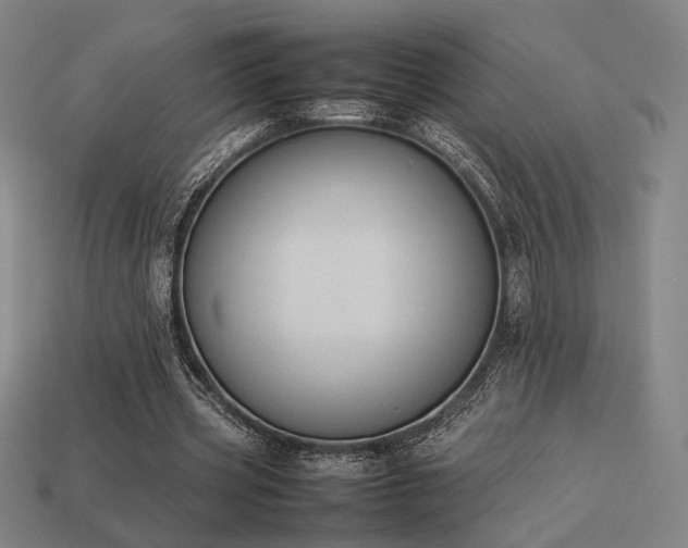 X0000113930533200909251221