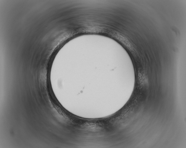 X0000113930534200909251221