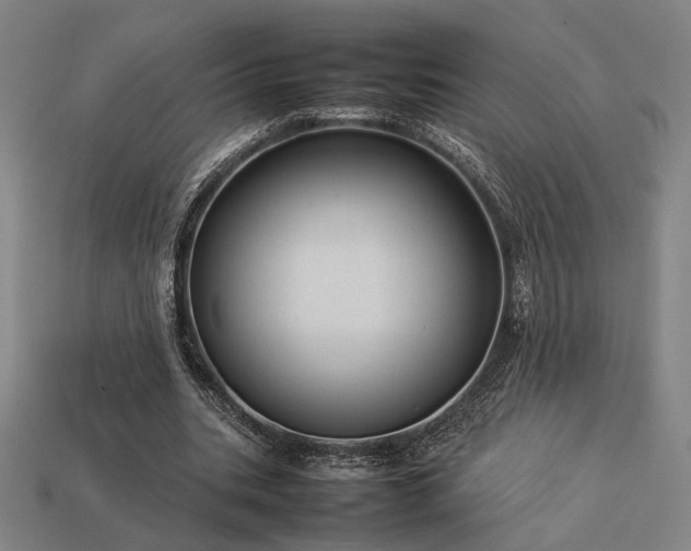 X0000113930535200909251221