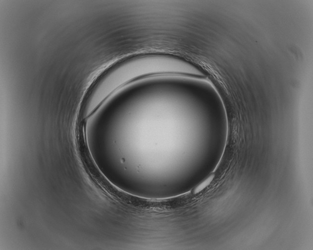 X0000113930536200909251221