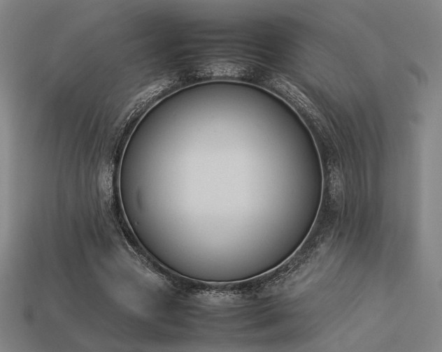X0000113930537200909251221