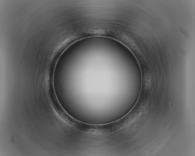 X0000113930538200909251221