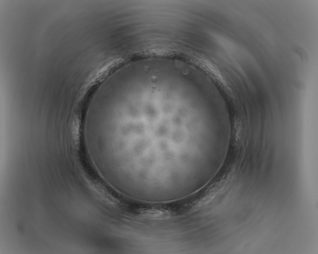 X0000113930542200909251221