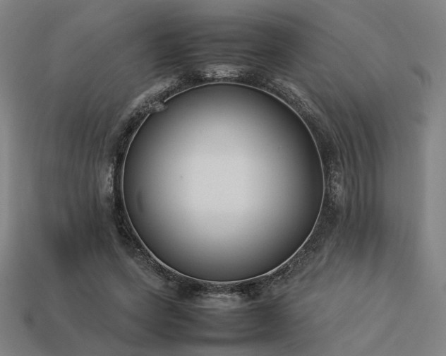 X0000113930543200909251221