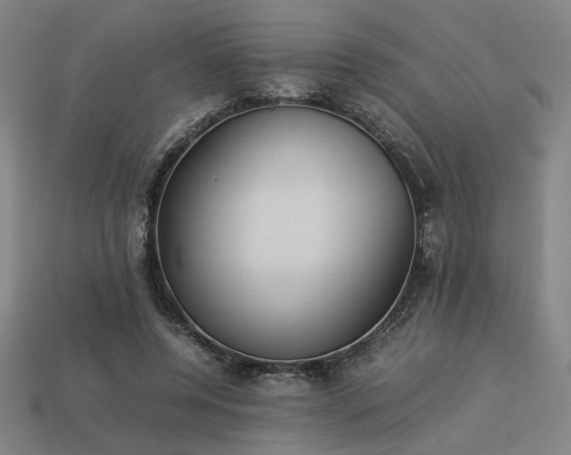 X0000113930544200909251221