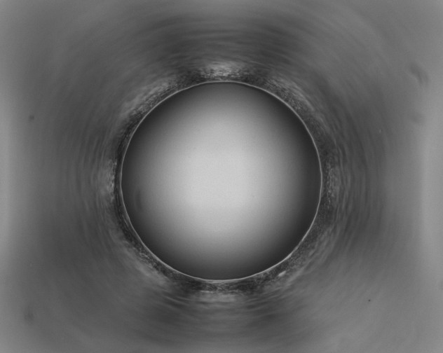 X0000113930545200909251221