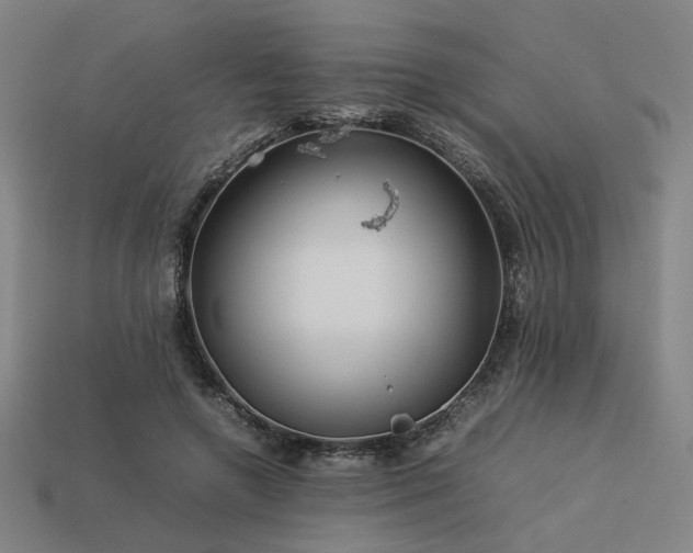 X0000113930546200909251221
