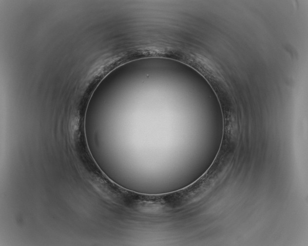 X0000113930548200909251221