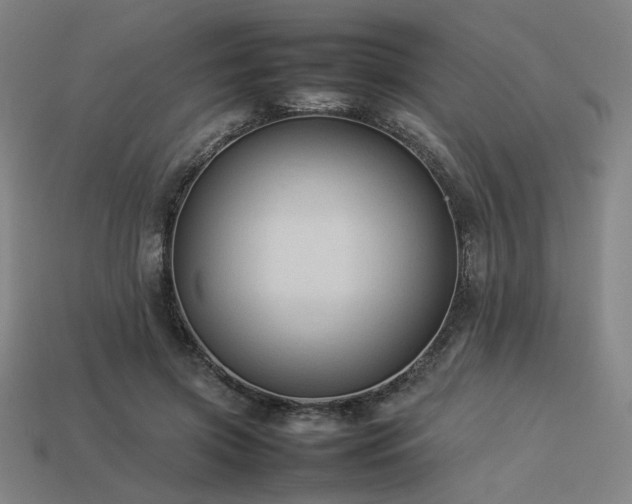 X0000113930549200909251221