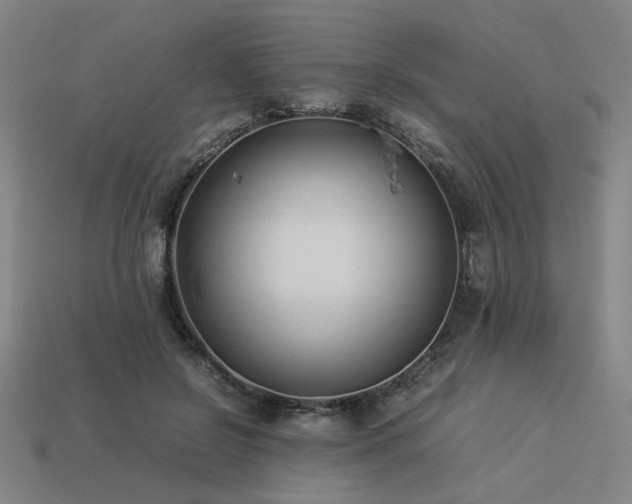 X0000113930550200909251221