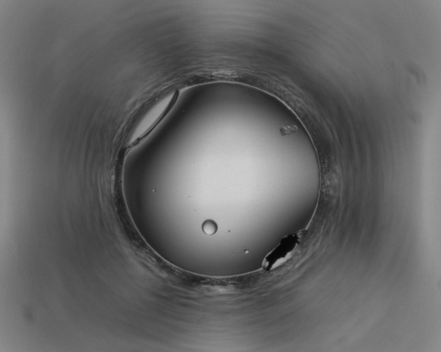 X0000113930552200909251221