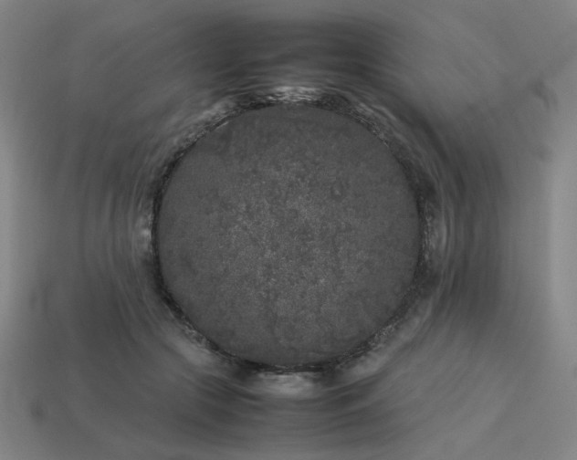 X0000113930553200909251221