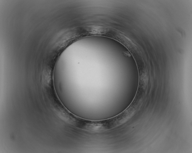 X0000113930554200909251221