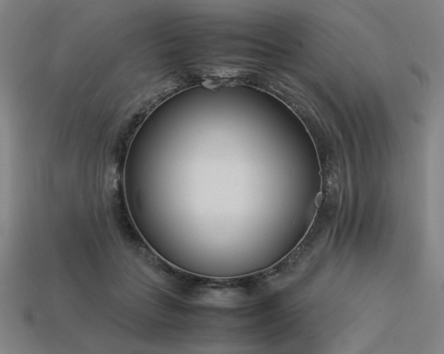 X0000113930555200909251221