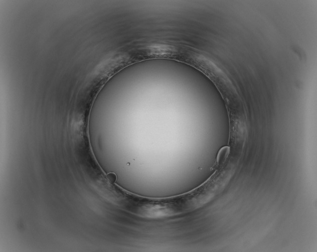 X0000113930557200909251221