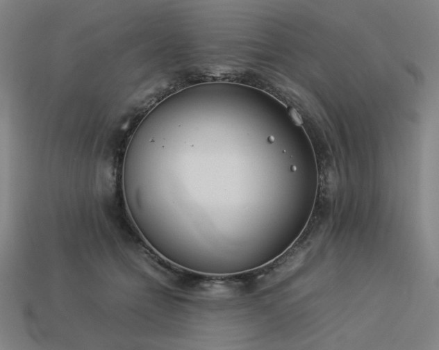 X0000113930558200909251221