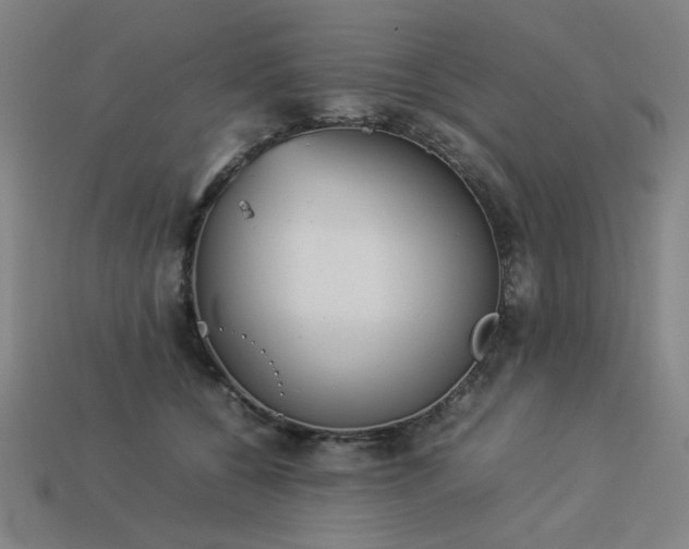 X0000113930560200909251221