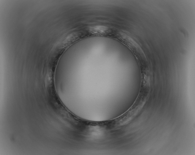 X0000113930561200909251221
