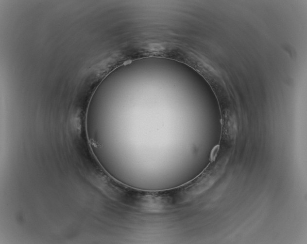 X0000113930562200909251221