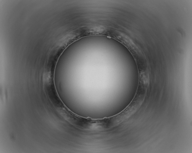 X0000113930564200909251221