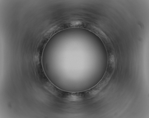 X0000113930565200909251221