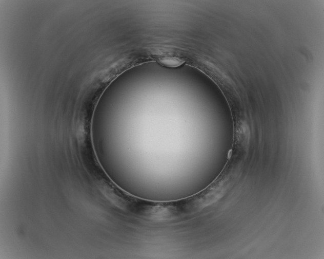 X0000113930566200909251221