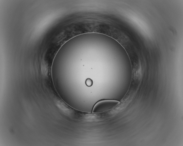 X0000113930574200909251222