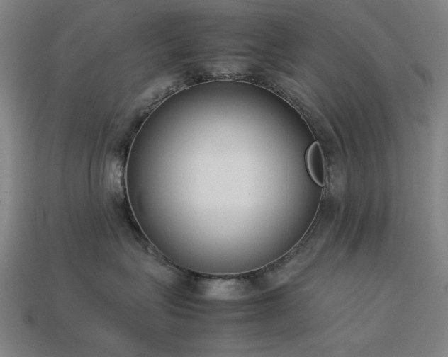 X0000113930575200909251222