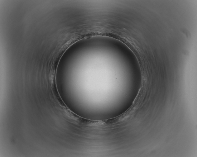 X0000113930576200909251222