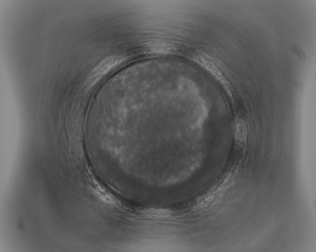 X0000113930577200909251221