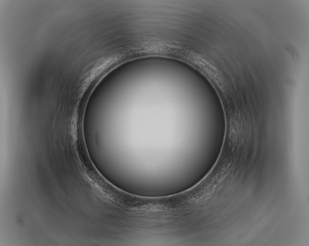 X0000113930578200909251221