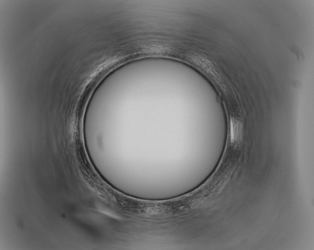 X0000113930579200909251221