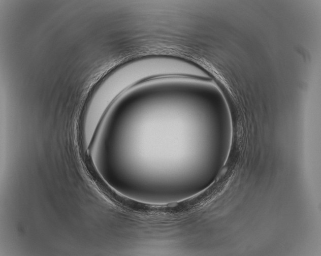 X0000113930581200909251221