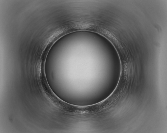 X0000113930582200909251221