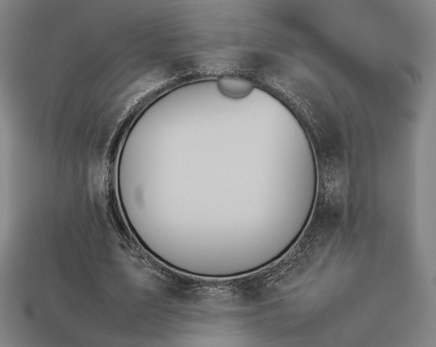 X0000113930583200909251221