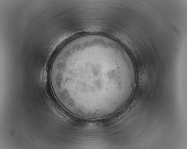 X0000113930584200909251221