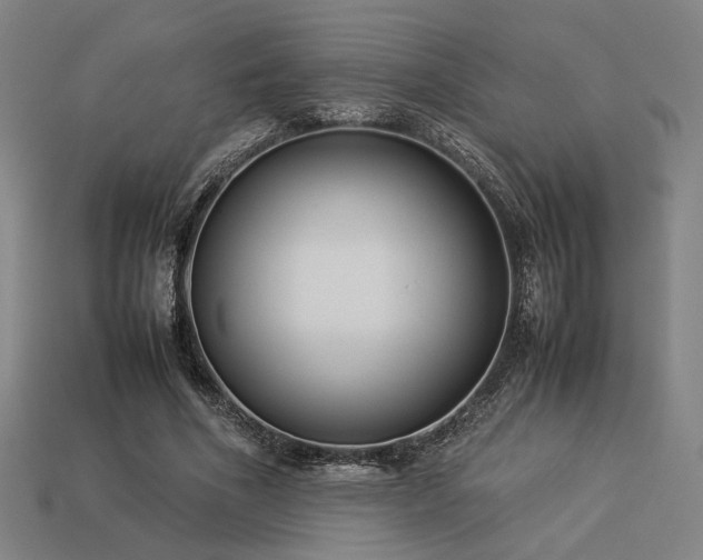 X0000113930586200909251221