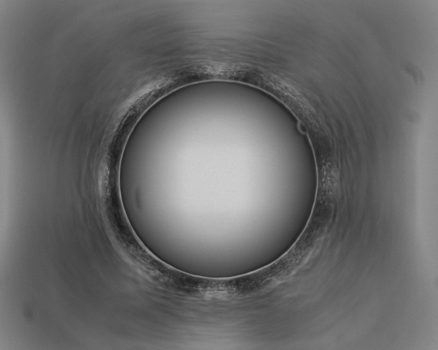 X0000113930587200909251221