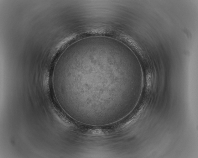 X0000113930588200909251221