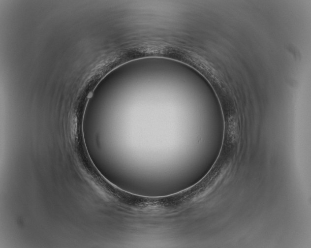 X0000113930589200909251221