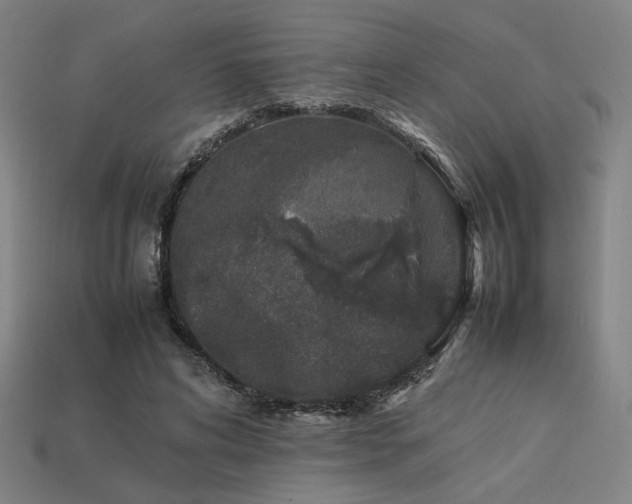X0000113930592200909251221