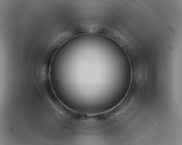 X0000113930594200909251221