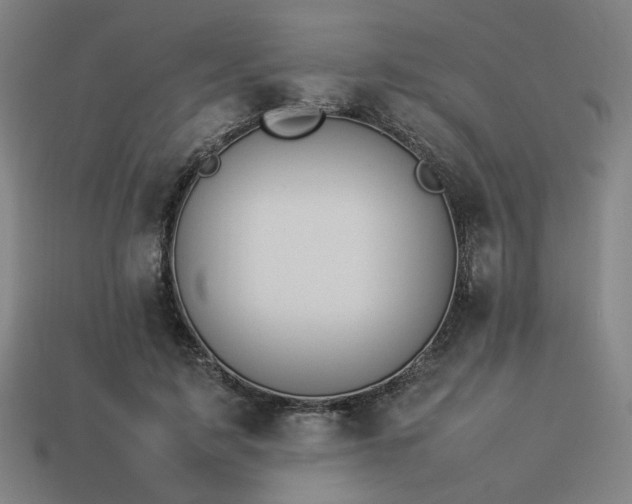 X0000113930595200909251221